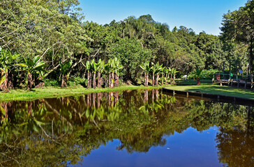 Fototapeta na wymiar Lake in ecological park, Sao Paulo, Brazil