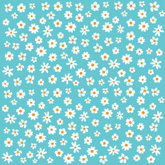 Fondo floral con margaritas en blanco.