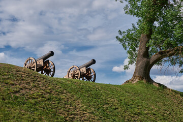 Two old vintage retro canon guns.