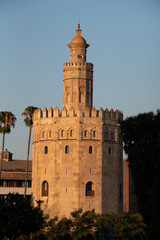 Fototapeta na wymiar Torre del Oro sevilla 