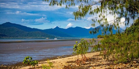 panorama of beautiful, idyllic tropical beach in cardwell, sandy beach with the view of mighty...