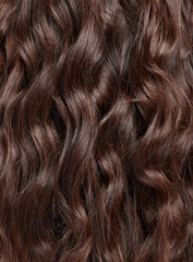Hair, beauty with balayage and curly hairstyle with haircare, keratin treatment and back view...