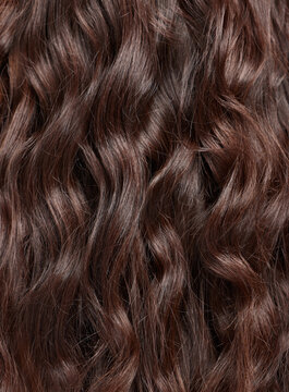 Hair, beauty with balayage and curly hairstyle with haircare, keratin treatment and back view closeup. Person with salon style, color highlights shine and texture, growth and grooming with glamour