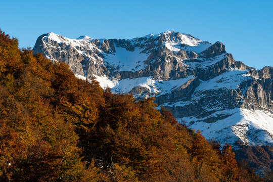 Beech forest in autumn in the Picos de Europa (European peaks) National Park at sunset since Piedrashitas viewpoint with the mountains in the background. Valdeon valley, Leon province, Spain.