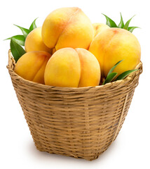 Fresh Yellow Peach in basket isolated on white background, Yellow Peach fruits on white With work path.