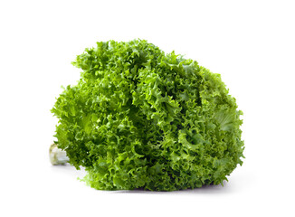 Lettuce, big bunch of lettuce leaves isolated on white background.