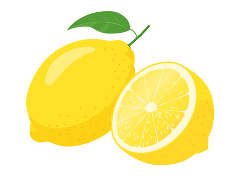 レモンのベクターイラスト