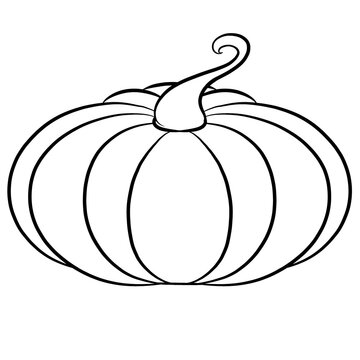 Pumpkin sketch, cartoon character, Halloween element, outline drawing pumpkin on transparent background 