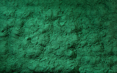 Spirulina powder healthy dietary supplement - Algae powder in spoon