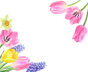 Floral frame with tulips, daffodils and muscari on transparent background. Watercolor illustration hand drawn. For cards, wedding invitations, mother's day, birthday, valentine's day, March 8.