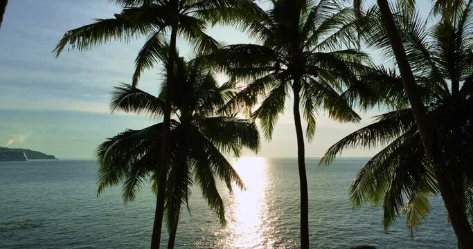 Silhouette coconut palm trees in beautiful sunset or sunrise sky over sea,Amazing light nature colorful clouds landscape,Beautiful light nature sky and clouds seascape,Sky clouds background
