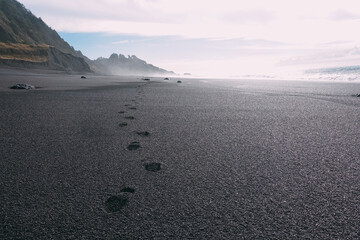Fototapeta na wymiar black sand beach with footprints concept follow the path