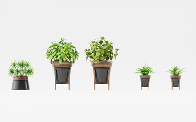 Set of plant isolated on white background, decorative plant , 3d render