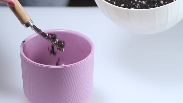 Girl pours soil mixed with perlite into a pink flower pot with a spatula before transplanting a houseplant.  Transplanting indoor flowers