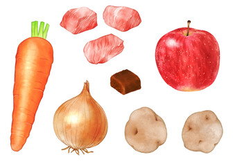 A set of curry ingredients drawn with digital watercolor