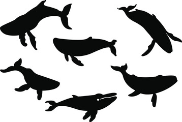 Set of whale silhouettes. Set of whale icons. Whale silhouette vector illustrations set.