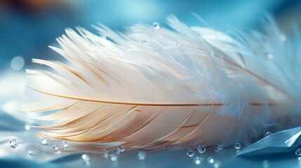 美しい青い羽根と水滴の背景