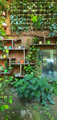 Fototapeta na wymiar Plants on shelves on a brick wall