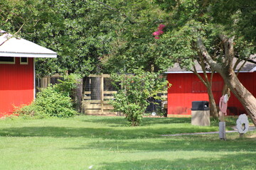 Two red barns at a farm