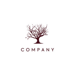 Obraz premium Tree logo design, photography logo, media logo, eps