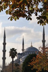 Blue Mosque Sultanahmet Camii, Istanbul, Turkey
