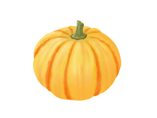 プッチーニカボチャの水彩イラスト