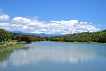 Fototapeta na wymiar 台湾　台東森林公園の湖(鷺鷥湖)