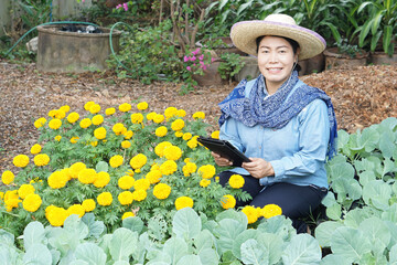 Asian female gardener is at vegetable and flower garden, hold smart tablet, smile. Concept, Using technology wireless to research, control and manage quality of agricultural crop. Smart farmer. 