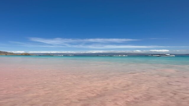 Pink Beach Komodo National Park, beautiful tropical beach in sunny day. Aerial Pink Beach, Tropical Island

