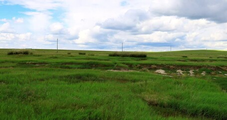 Hulunbuir Grassland, is a world famous natural pasture, is one of the world's four grasslands, known as the world's best grassland.