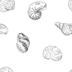 Seamless pattern of shells. Vector illustration. Hand drawn style.