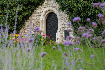 Wine cellar built from stones with violet flowers on foreground in Wawel Castle Krakow, Poland. Old...