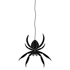 Halloween Black Spider hanging doodle.