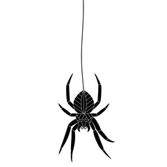 Halloween Black Spider hanging doodle.