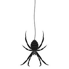 Halloween Black Spider hanging doodle.