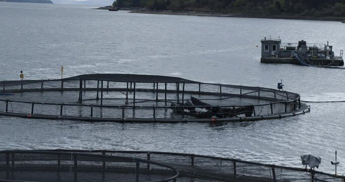 Aerial View: Glimpsing the Vast Salmon Farms of Scotland's Aquaculture Landscapes