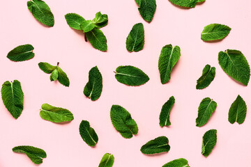 Composition with fresh mint leaves on pink background