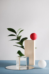dimensional compositions of geometric shapes concept. transparent cube with circles and leaves on...