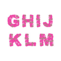 Alphabet lettering design with colorful floral pattern