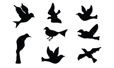 Birds Vector Graphic Design
