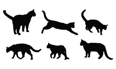 Cat Vector Graphic Design
