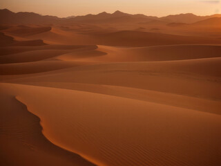 Fototapeta na wymiar Golden sand dunes in the desert, beautiful landscape