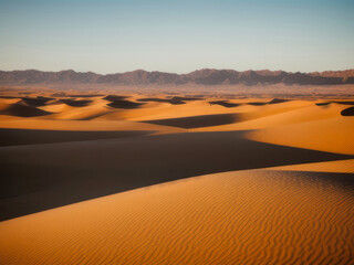 Golden sand dunes in the desert, beautiful landscape