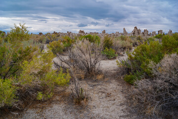 Scenic view of South Tufa rock formations at Mono Lake, near Lee Vining, Mono County, California,...