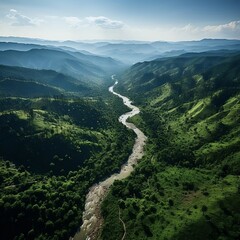 Naklejka premium An aerial view of a winding river cutting through a dense forest generative ai