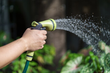 Man watering plants in his garden. Urban gardening watering fresh vegetables nature and plants care concept