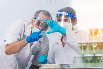 Scientist teams consult together with biochemistry plants tissue culture biotechnology science....