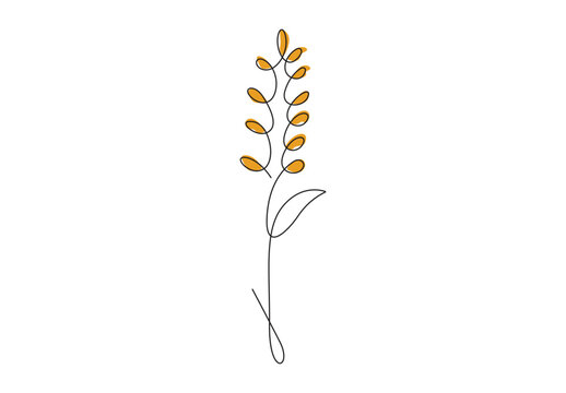 One continuous line drawing of lupine spring vector illustration. Premium vector.