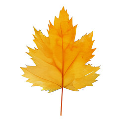 Fototapeta premium watercolor autumn leaf, ai generative