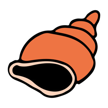 sea snail shell cartoon